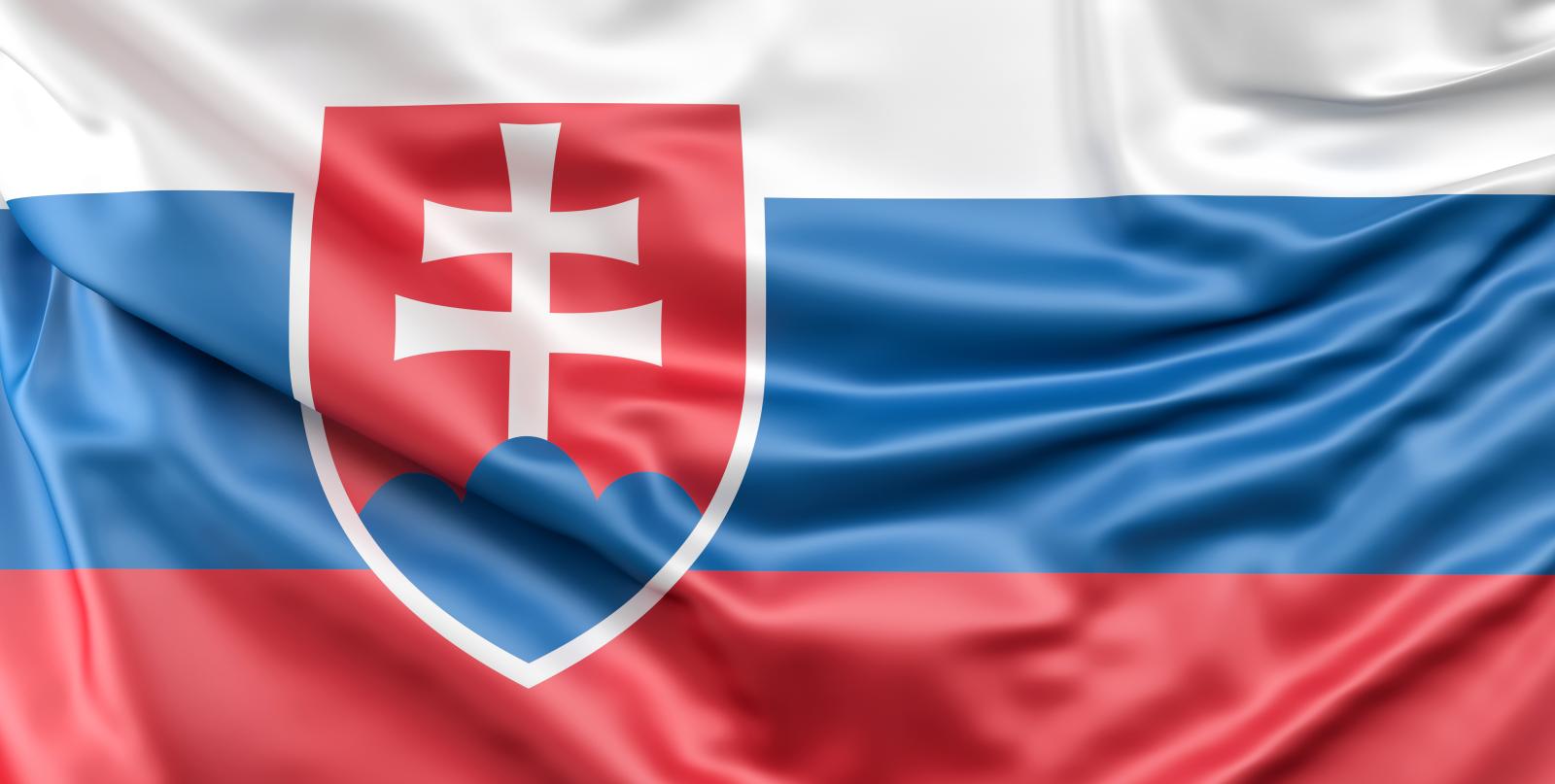 государственный флаг словакии
